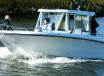 Hammarine C7
