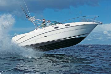 275 Amberjack - Searay