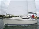 Delphia 29