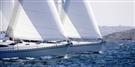 Delphia 40
