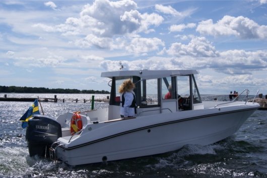 Hammarine-c7
